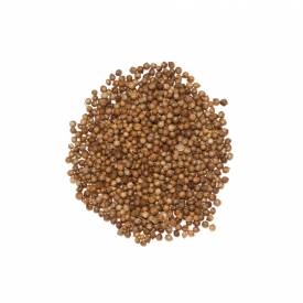 Coriander essential oil
